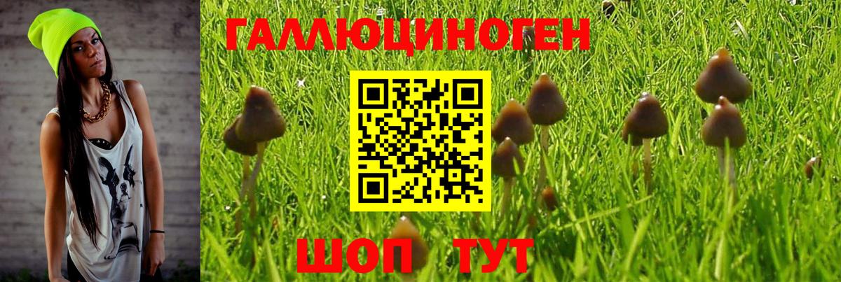 Псилоцибиновые грибы Psilocybe  Псилоцибиновые грибы Psilocybe  Вход с VPN  Зерноград 